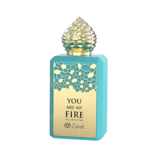 Zakat You Are My Fire