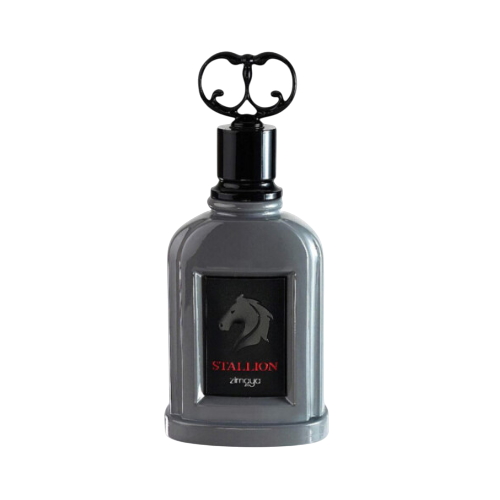 Zimaya Stallion