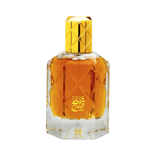 Ahmed Al Maghribi Bin Shaikh